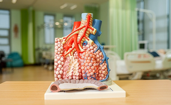 nursing_3